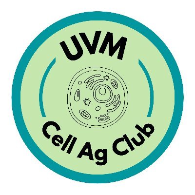Cells